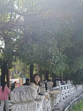 ������ͨ����ѧӢ���ļ�����